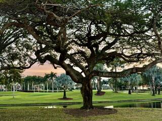2518 2518 Coco Plum Blvd. #1202, Boca Raton FL 33496