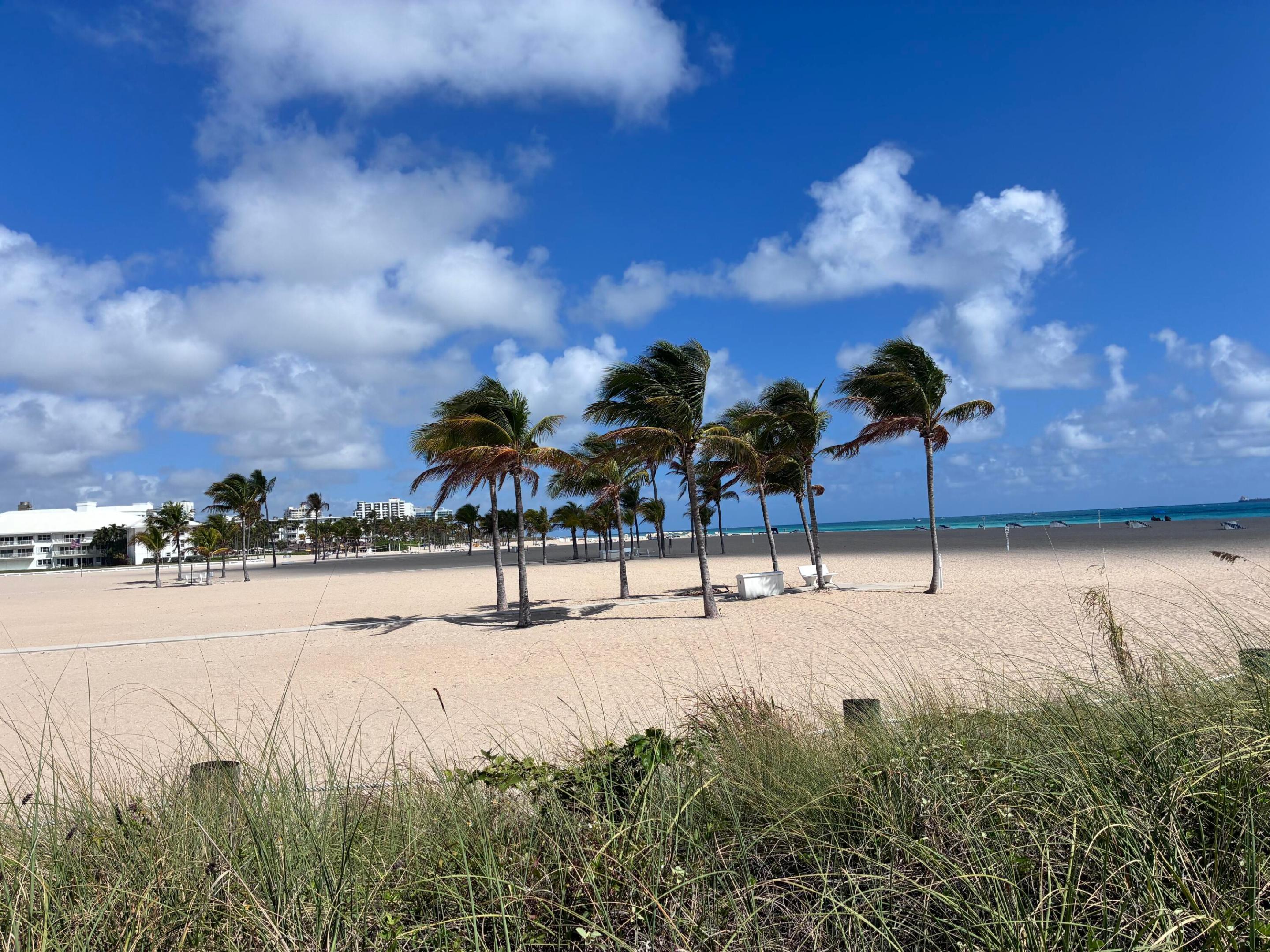 2000 S Ocean #810, Fort Lauderdale FL 33316